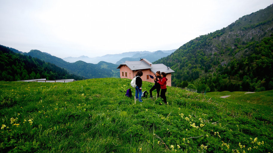 Catturati dalla Rete: lo studio della biodiversità