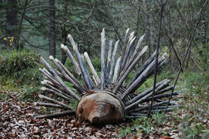 LEDRO LAND ART 2018