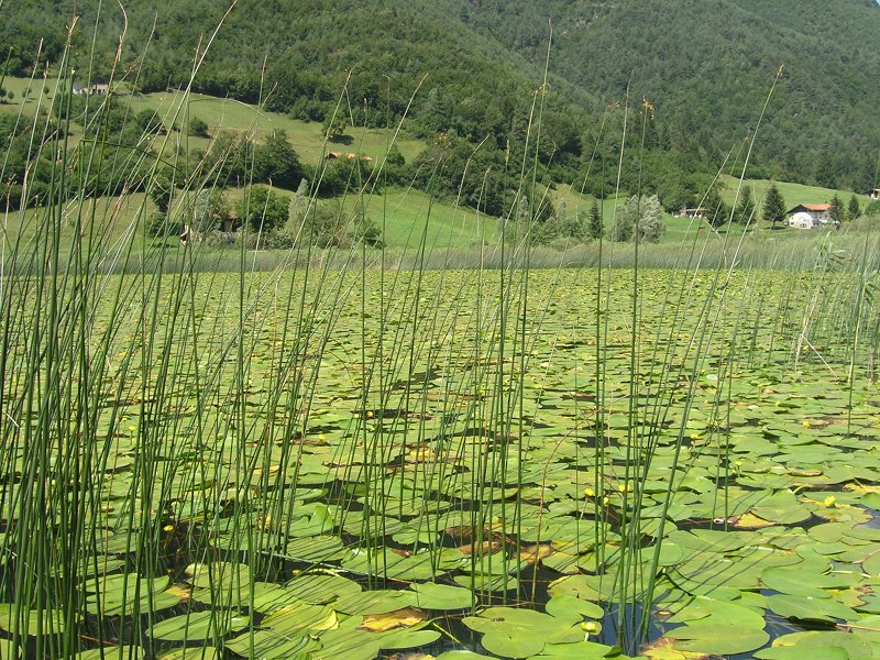 Lago d'Ampola