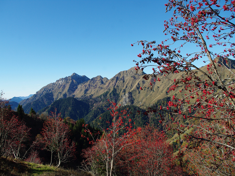 Montagne d'autunno