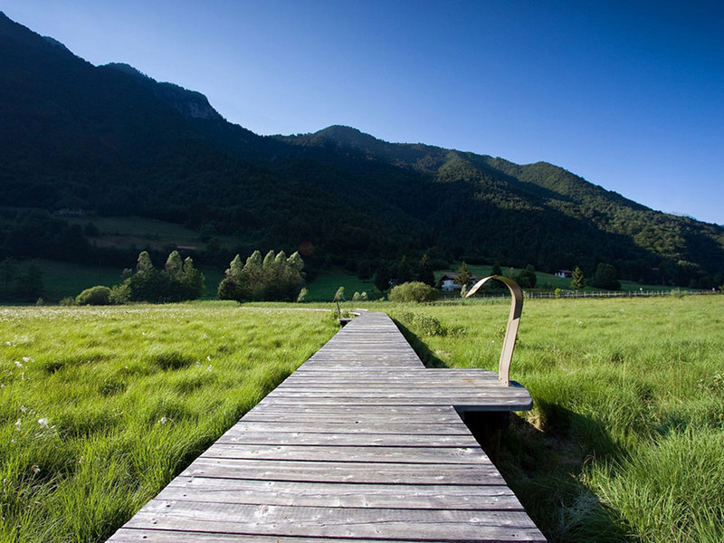 Ampola Biotope