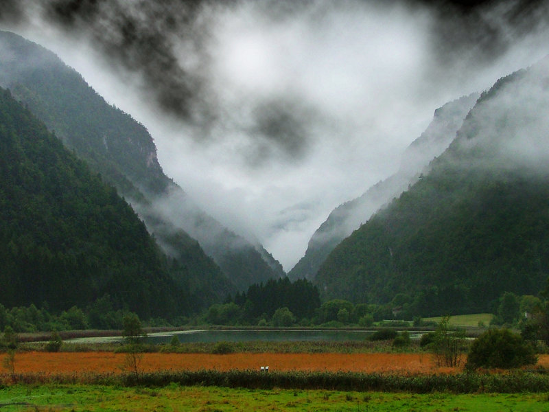 Ampola in autunno