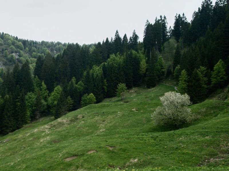 Prati sopra Tremalzo